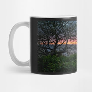 Sunset at Killer Whale Rock Mug